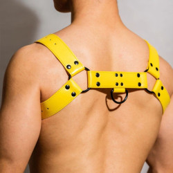 BDSMaster Harnais Chest All Jaune